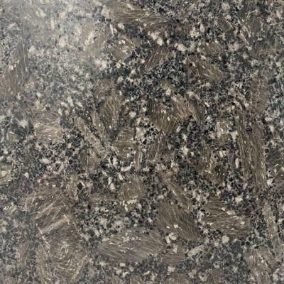New Cheap Grey and Granite for Polished and Polished Stone