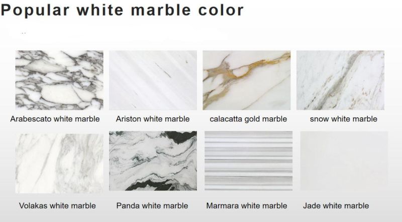 Polished Arabescato White Marbe Tile for Interior Wall Flooring Design