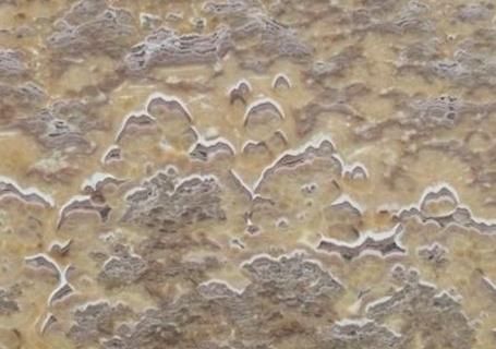White/Black/Beige Stone Quartz, Marble, Granite Slab for Countertop and Flooring Tile Project