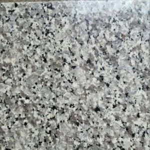 Swan White Granite for Wall and Flooring Tiles