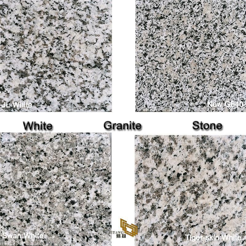 Granite Stone Slab/Tile Kitchen Vanity/Countertop for Hotel Building Engineering