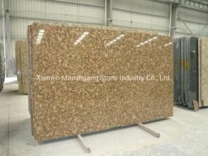 Brazil Giallo Fiorito Golden/Yellow Exotic Granite Polished Big Slabs