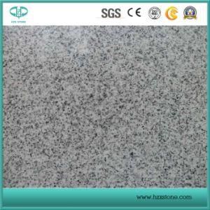 Grey Granite/ Polished G682/G654/G603/G664/G687/G439/G562 White/Black/Grey/Yellow/Red/Pink/Brown/Beige/Green Stone Granites