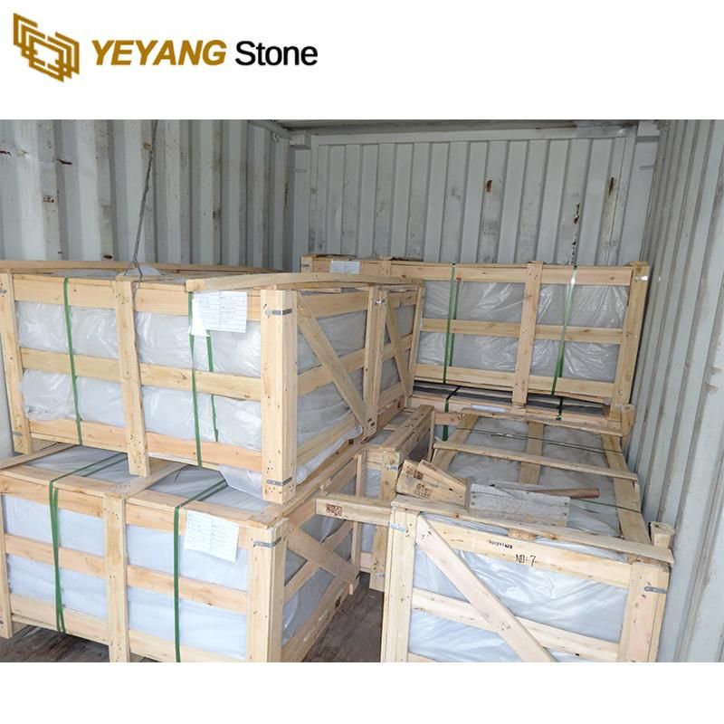 Natural Granite Stone Slab/Tile/Countertop/Worktop Black/White/Brown/Grey Granite Wholesale