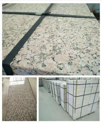 China Pink Porrino Granite Slab/Granite Tile Wall Cladding/Paving Stone/Interior Decoration