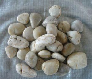 Landscape Cobble Stone/White Garden Pebble