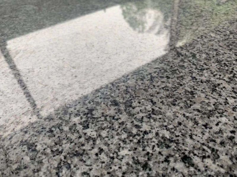 Berry Grey Polished Granite