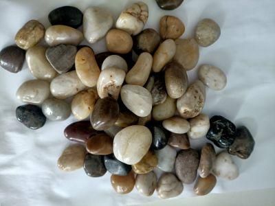 Mixed Color Natural Pebbles