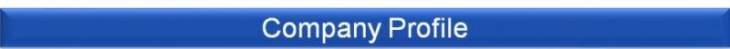 Chinese Cheap Grey Granite Tiles and Granite Paving Stones Building Materials