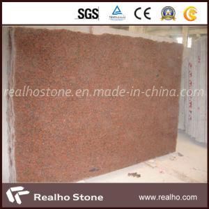 G562 Marple Red Stone Granite Slab for Wall Tile