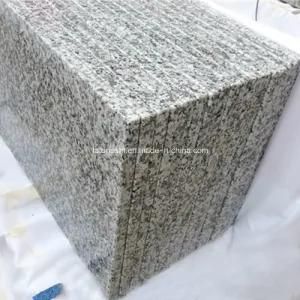 Polished White Granite Slab G439 for Countertop and Flooring