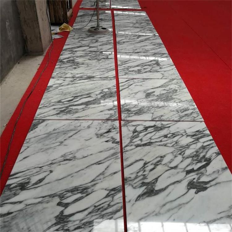 China Cheap Polished White Stone Arabescato Corchia White Marble