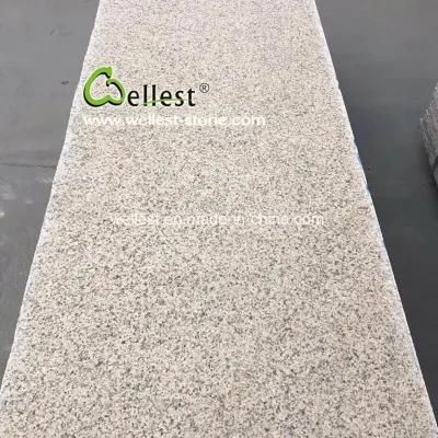 Polished/ Flamed/ Bush Hammered Yellow Granite Slab and Tile