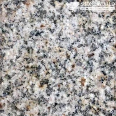 Polished Gold Coast G682 Granite Tiles for Flooring &amp; Wall (MT018)