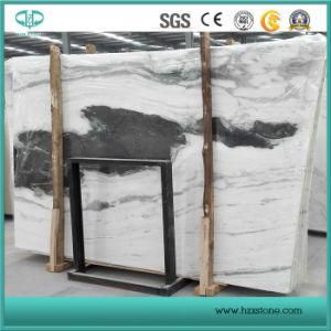 Jiangsu Quarry Panda White Marble Slabs, Black and White Marble