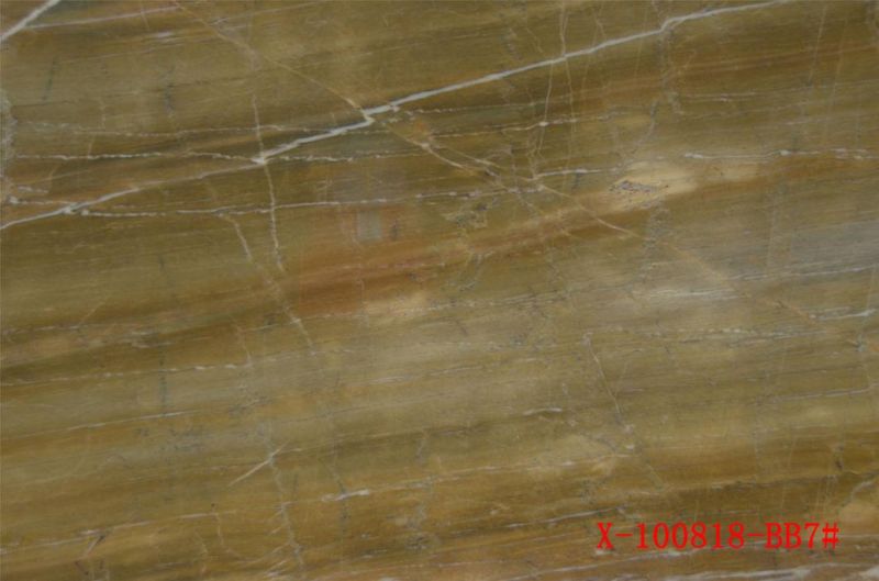 Natural Stone Grey/Beige Polished/Honed Marble for Floor/Wall Countertops Vanitytops