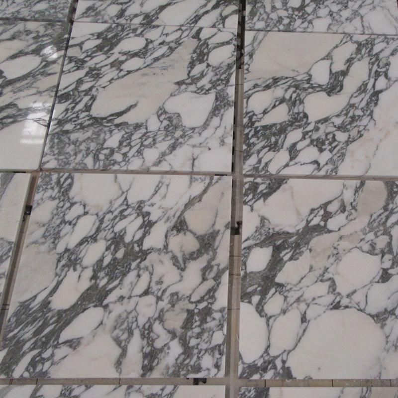Polished Arabescato White Marbe Tile for Interior Wall Flooring Design