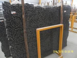 Oracle Marble Slab for Countertops and Building Materials