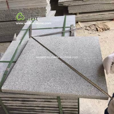 Popular G654 Padang Dark Grey Granite for Kitchen Countertop/Bathroom Vanity Top/Wal Tile/Floor Tile/Steps