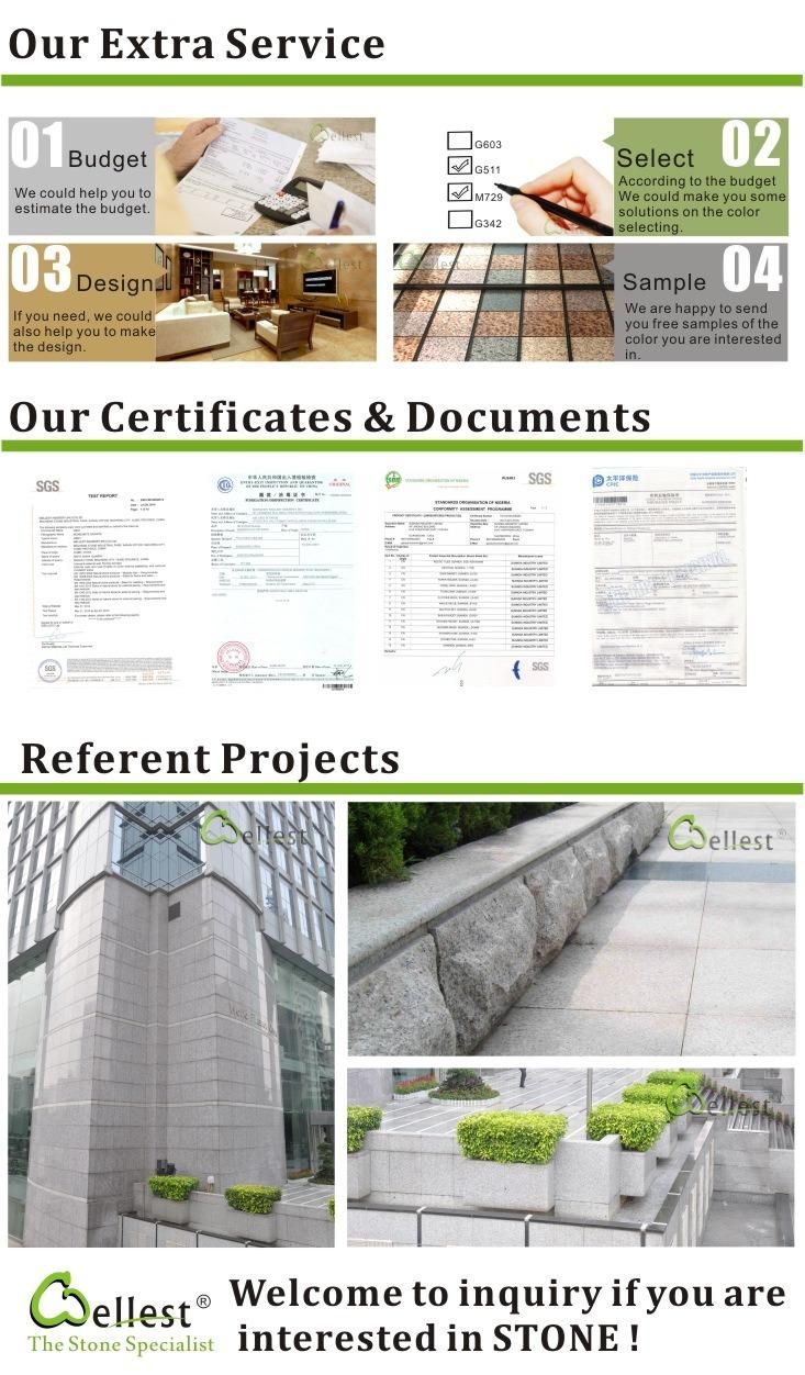Flamed and Brushed Dark Grey Granite Exterior Floor Paving Stone