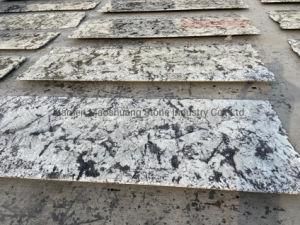 Delicatus Splendor White Granite Kitchen Countertop