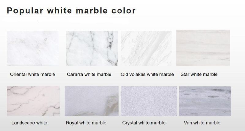 Polished Arabescato White Marbe Tile for Interior Wall Flooring Design