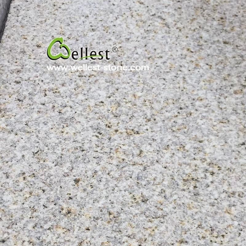 Yellow Beige Granite Swimming Pool Round Edge Coping and Paver