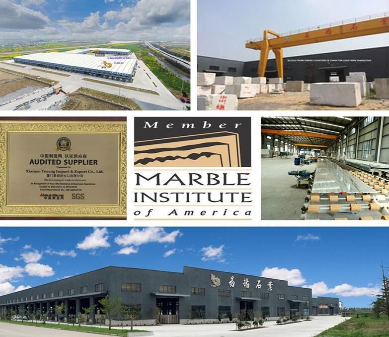 Natural Marble Kitchen Worktops/Countertop/Vanity Tops Wall/Floor Tile White/Grey/Brown/Beige/Yellow Marble Factory