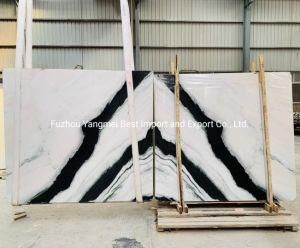 Polished Panda White Marble Granite for Floor Wall Tiles Slab/Kitchen/Bathroom/Countertop/Vanity Tops