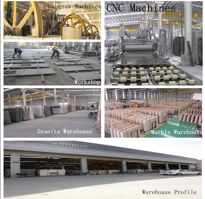 Granite Stone Natural Stone Slabs/Vanity Top/Countertop/Countertops for Kitchen/Bathroom/Flooring/Tiles Project design