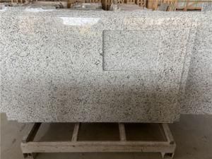 Popular Granite for Kitchen Countertop/Bathroom Tops
