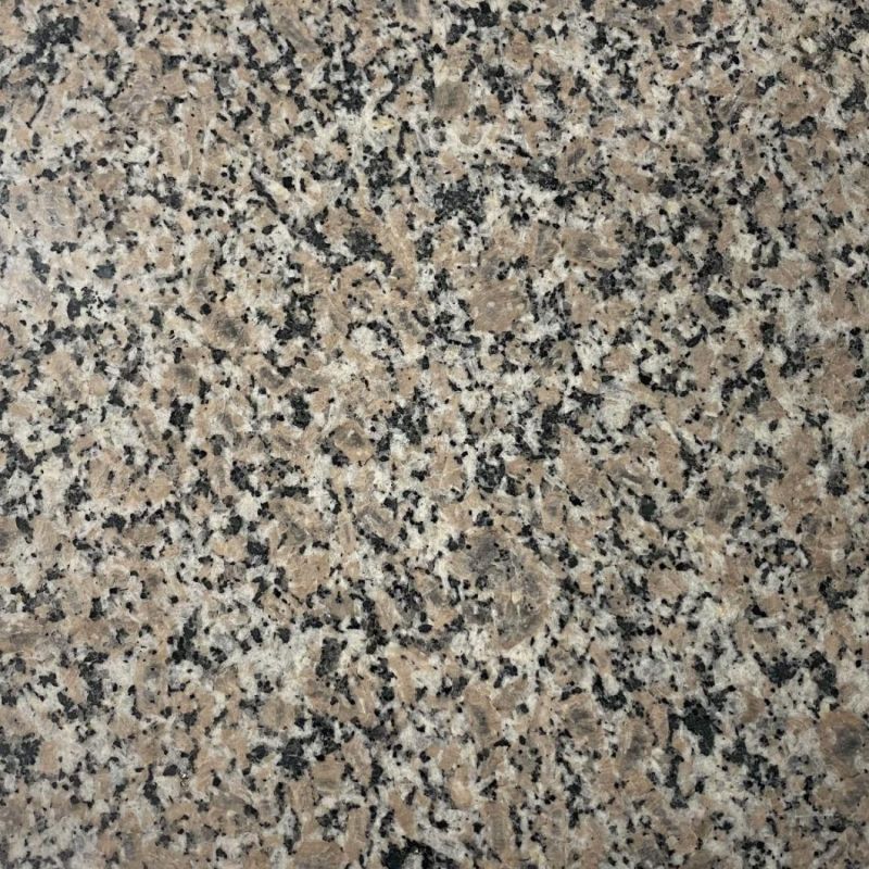 China Wulian New Grey Granite Natural Stone for Countertops Buidling Walls