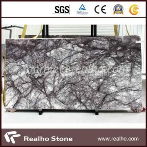 High Quality Good Pirce Heaven Birds Marble Slabs