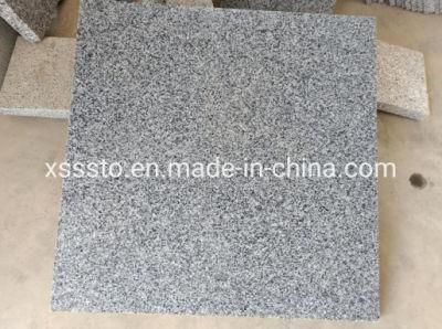Chinese Grey Stone New G654 Granite Floor &amp; Paving Stone