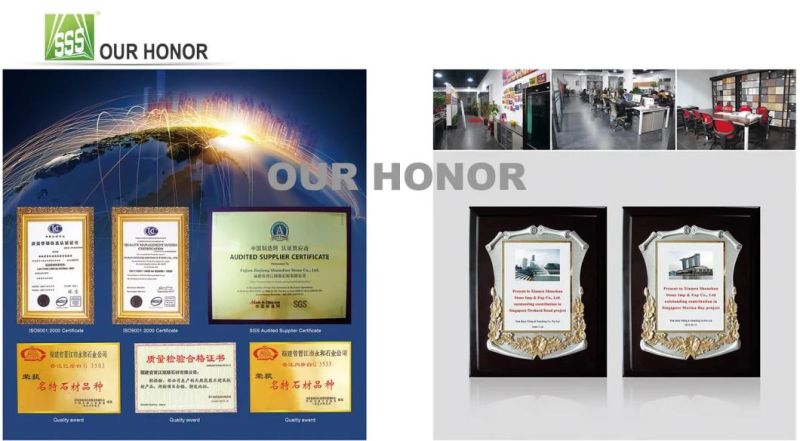 More Shape/Design of Granite Headstone/Monument/Gravestone with Moderate Price