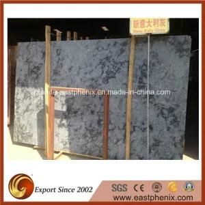 Natural Italian Grey Light Building Material Marble Slabs for Paving/Floor/Countertop