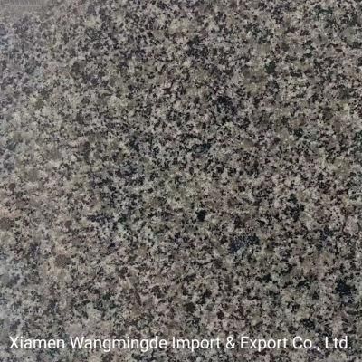 Natural Black Kitchen Countertop Granite Top/Worktop/Vanity/Table/Top Granite