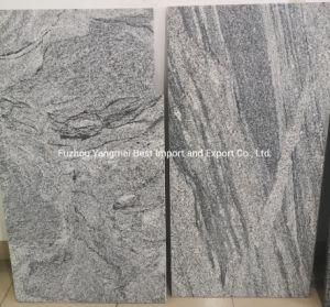 Fantasy Grey Granite Wisconsin White Granite for Flooring/Wall Tiles