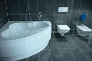 Granite Wall Tiles / Floor Tile