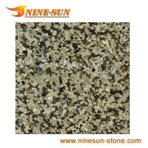 Sage Green Green Granite (YX-G855)