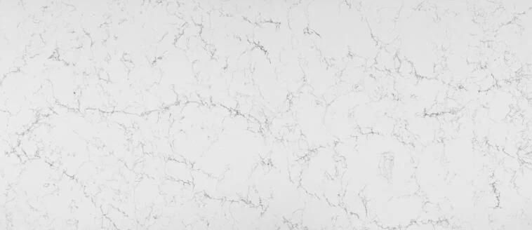 Black Quartz Countertop with White Shallow Grain