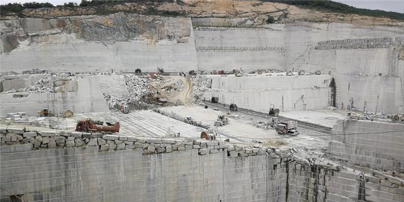 Factory Direct Selling Grey Granite G361 Natural Stone Slab