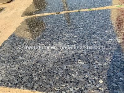 Best Quality Polished Blue Pearl Granite Slab for Thin Tile