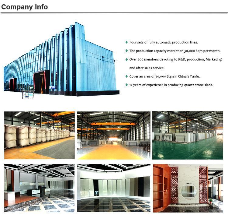 Quartz Stone Kitchen Counter Top Manufacturer