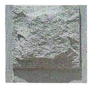 White Granite Stone Paverment (YXP-035)