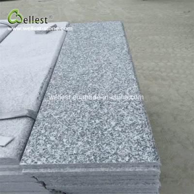 Grey Granite Steps with Bullnose Edge Stairs and Risers for Paving