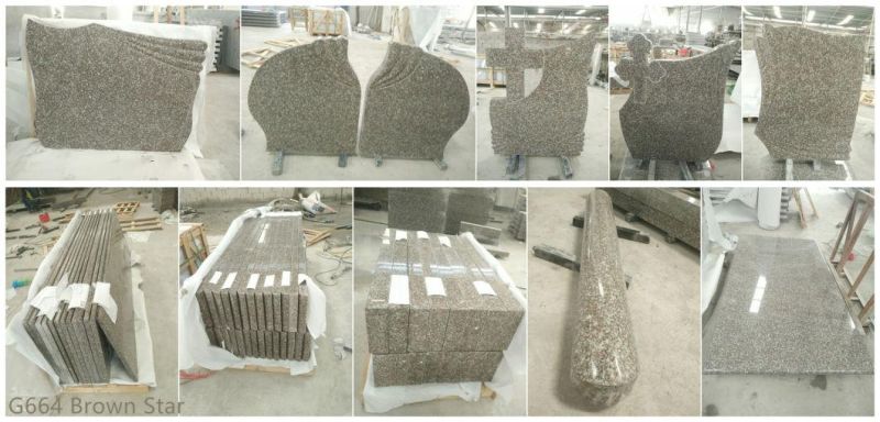 Brown Star Granite G664 Tombstone and Monument′ S Cover