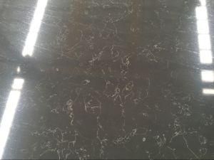 Carrara Grey Quartz for Wall/Countertop/Vanity Tops
