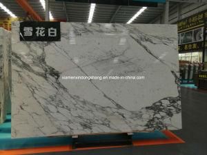 Italian Arabescato White Marble Slabs/Tiles for Walling/Flooring/Countertop/Kitchen/Bathroom