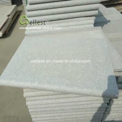 Quartzite White Stone Swimming Pool Coping Stone Tile and Pavers